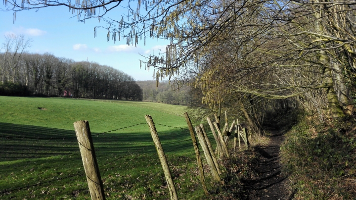 Schapenheide Bertem